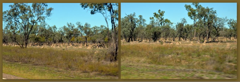 19ChTowers4.jpg - Gregory Development Road (aka The Great Inland Way) an area covered in termite mounds approaching Charters Towers