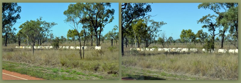 19ChTowers6.jpg - Gregory Development Road (aka The Great Inland Way) approaching Charters Towers