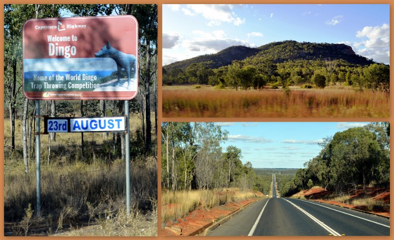 25Rocky17.jpg - Approaching the Qld town of Dingo