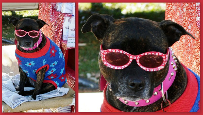 28Mbrgh1.jpg - "Saturday night disco was great but I hate the Sunday morning markets"