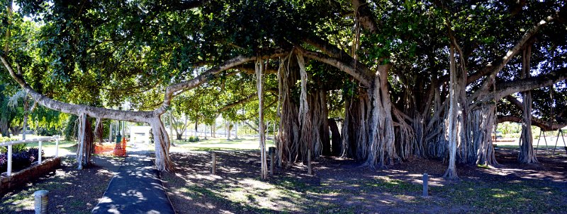 29MbrghPan07.JPG - Maryborough - Queen's Park