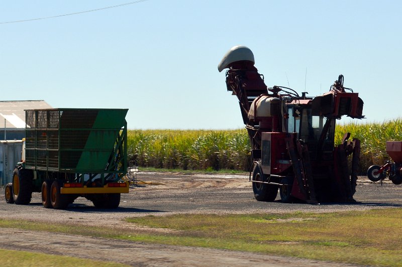 DSC_0309.JPG - Bundaberg sugar harvester