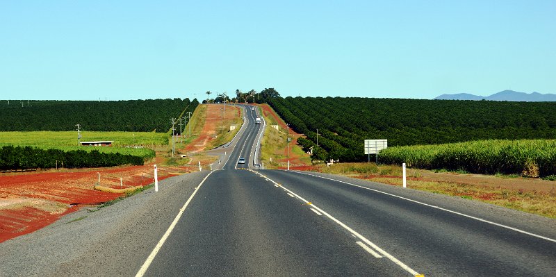 DSC_0317.JPG - Bundaberg agriculture