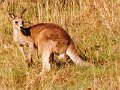 DSCN0036