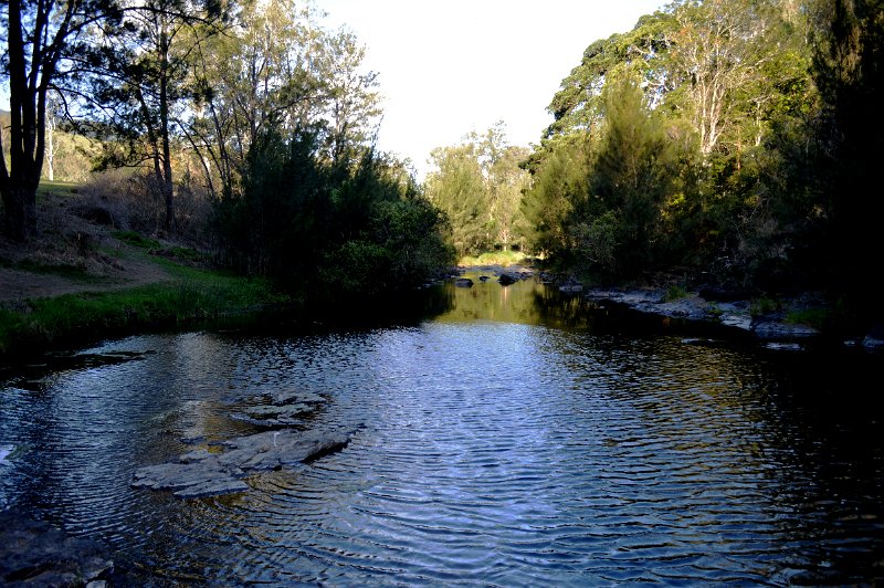 DSC_0046.JPG - Running Creek at Andrew Drynan Park