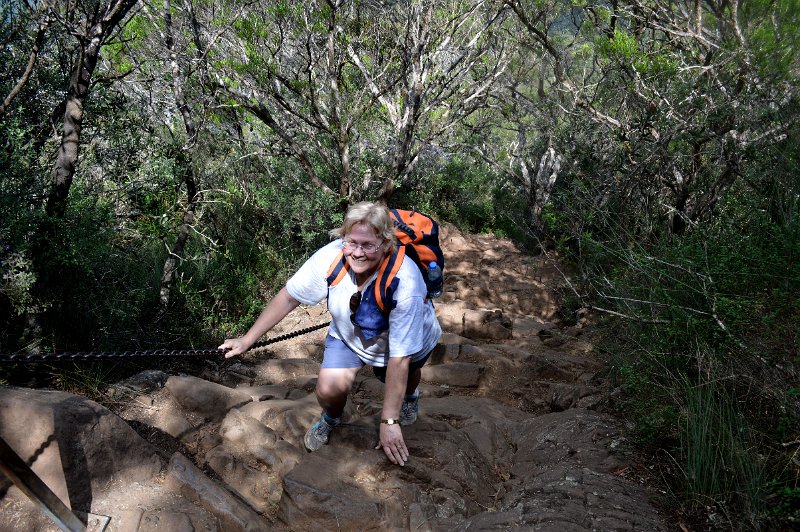 DSC_0030.JPG - Wollumbin Mount Warning - the final steep rock scramble