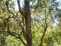DSCN0173