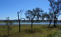 DSCN0176