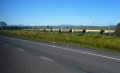 DSCN0192