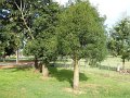 DSCN0232