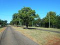DSCN0259