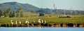 DSC_0012Panorama