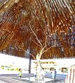 DSC_0019yPanorama