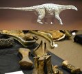 01WintonDinos1