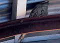 DSC_0032crop