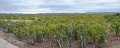 Moondarra01Pano06
