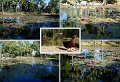 25Mataranka1