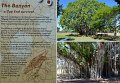 25Mataranka3