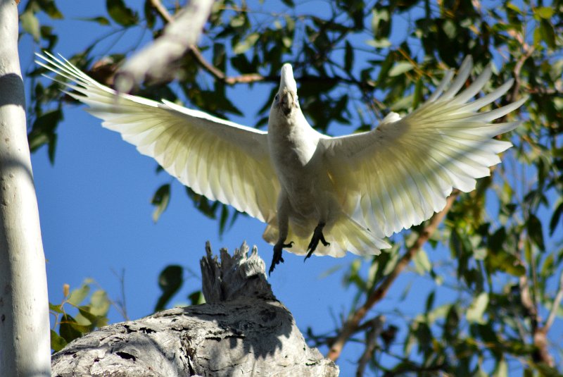 Litchfield National Park
