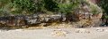 08DarwinPan03
