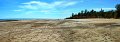 08DarwinPan04