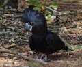 DSC_0004cropb