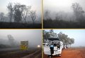 11Kakadu