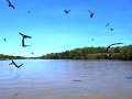 DSCN0423