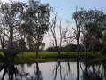 DSCN0457