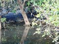 DSCN0462