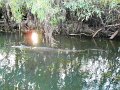 DSCN0473