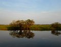 DSCN0482