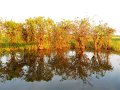 DSCN0484