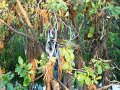 DSCN0486