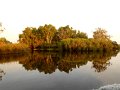 DSCN0499