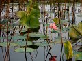 DSCN0506