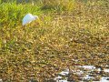 DSCN0586