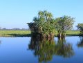 DSCN0646