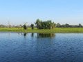 DSCN0653