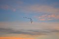 DSC_0012a