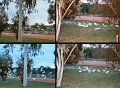 18VicRiver6