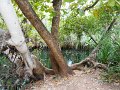 DSCN0719