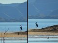 22LakeArgyle4