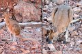 22LakeArgyle6