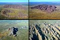 24Bungles2