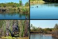 25Kununurra2