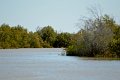 DSC_0018a