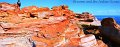 Broome
