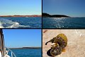 24Dampier1