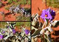 25Ningaloo
